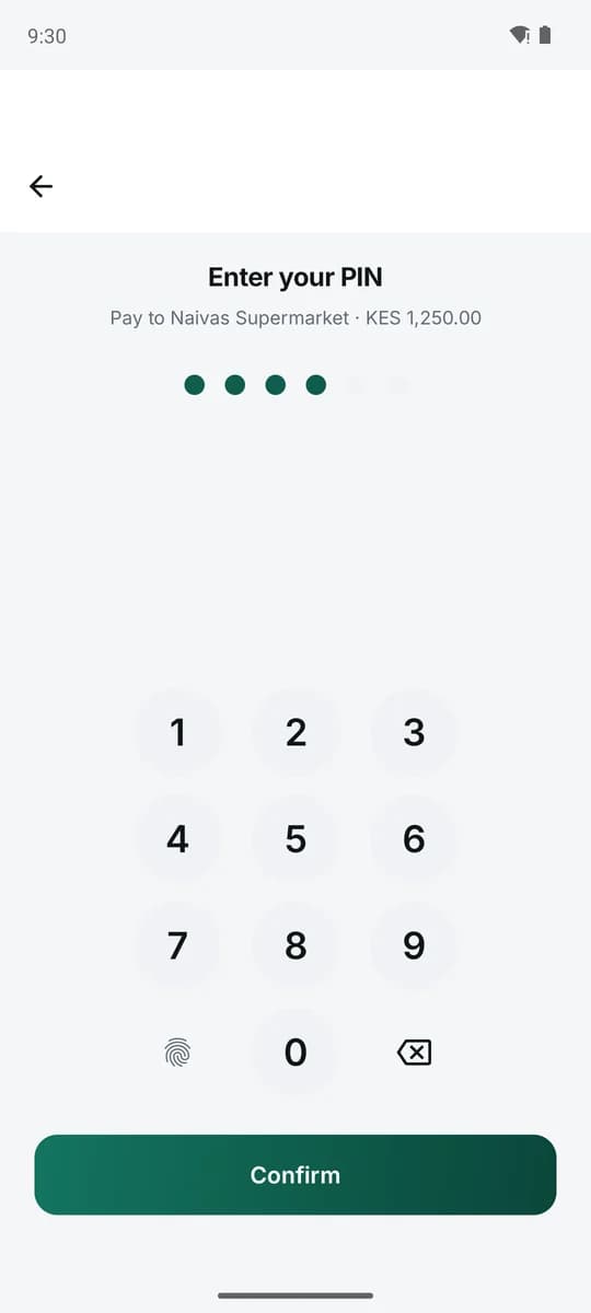 PIN-protected payment and app lock